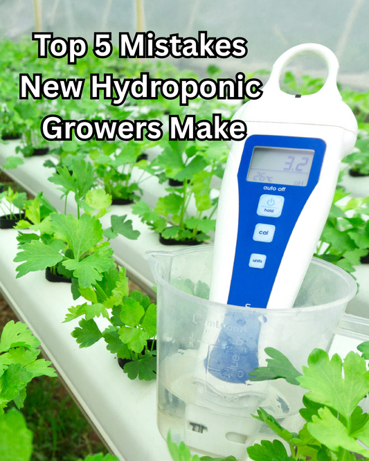 Top 5 Mistakes New Hydroponic Growers Make (And How to Avoid Them)